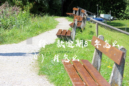 銀行貸款逾期8年怎么辦(房貸逾期八個(gè)月怎么辦)