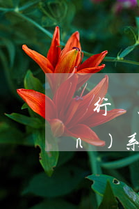 銀行貸款逾期一個月了多久會打聯(lián)系人號碼-銀行貸款逾期一個月了多久會打聯(lián)系人號碼呢