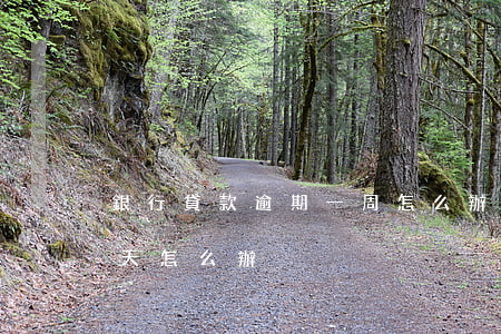 銀行貸款逾期一周怎么辦(銀行貸款逾期了一天怎么辦)