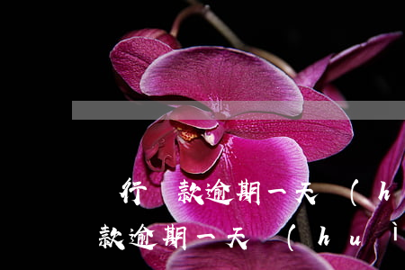 銀行貸款逾期一天會(huì)影響(銀行貸款逾期一天會(huì)影響后面貸款嗎)