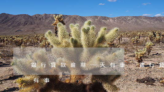 銀行貸款逾期一天有事沒(銀行貸款逾期一天有事沒)
