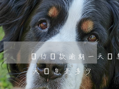 銀行貸款逾期一天罰息(銀行貸款5萬逾期一天罰息是多少)