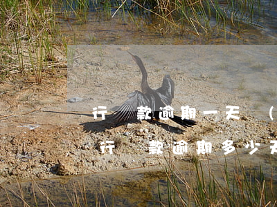 銀行貸款逾期一天說(shuō)要起訴我(銀行貸款逾期多少天起訴)