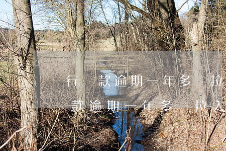 銀行貸款逾期一年多會拉入黑名單么-銀行貸款逾期一年多會拉入黑名單么嗎