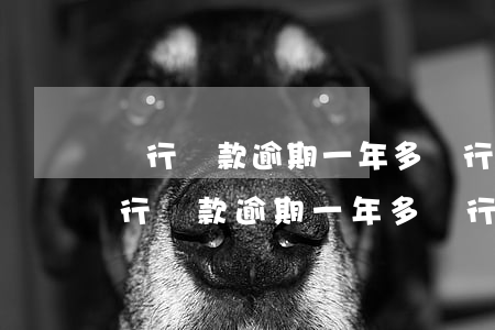 銀行貸款逾期一年多銀行為什么不找我-銀行貸款逾期一年多銀行為什么不找我協(xié)商