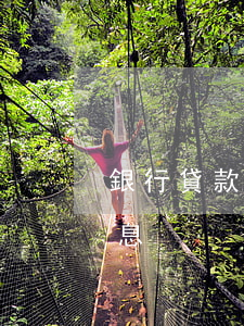 銀行貸款逾期一年(銀行貸款逾期一年多少罰息)