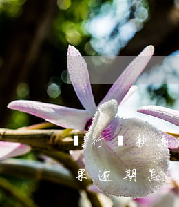 銀行貸款逾期一次買房(在銀行貸款買房子,如果逾期怎么辦)