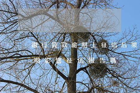 銀行貸款逾期上征信后果(金融公司的貸款逾期影響征信報告嗎?)