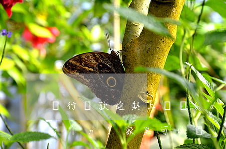 銀行貸款逾期上門調(diào)查,不進(jìn)家里可以嗎-貸款逾期上門調(diào)查是否合法