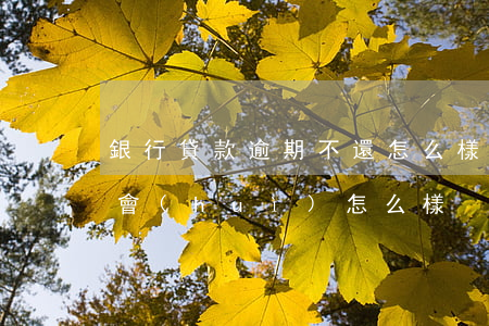銀行貸款逾期不還怎么樣(貸款逾期一直不還會(huì)怎么樣)