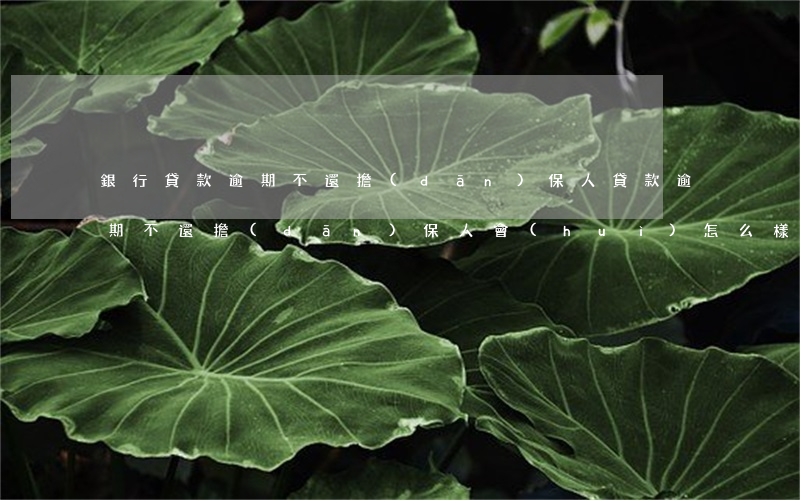 銀行貸款逾期不還擔(dān)保人(貸款逾期不還擔(dān)保人會(huì)怎么樣)