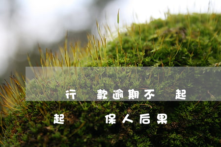 銀行貸款逾期不還起訴擔保人 貸款不還銀行起訴擔保人后果