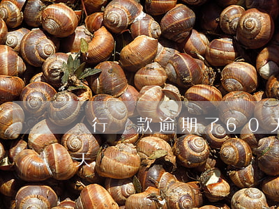 銀行貸款逾期了60天(銀行貸款逾期了60天)