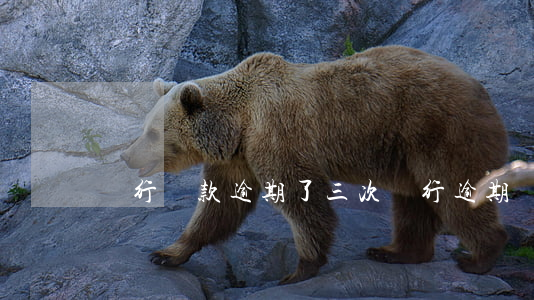 銀行貸款逾期了三次(銀行逾期兩次還能貸款嗎)