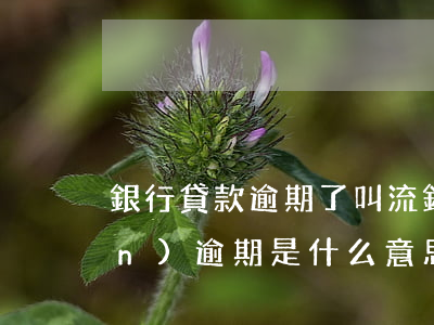 銀行貸款逾期了叫流(銀行貸款轉(zhuǎn)逾期是什么意思)