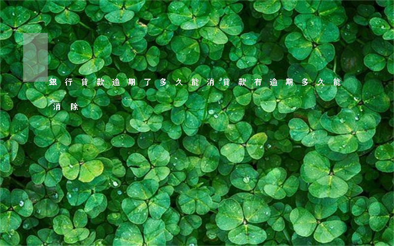 銀行貸款逾期了多久能消(貸款有逾期多久能消除)
