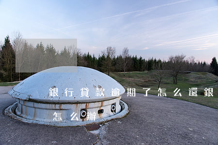 銀行貸款逾期了怎么還(銀行貸款利息逾期了怎么辦)