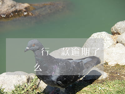 銀行貸款逾期了會怎樣(銀行貸款逾期了會怎么樣)