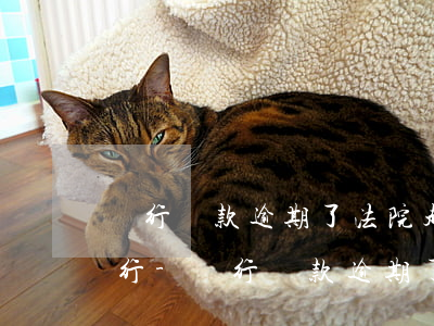 銀行貸款逾期了法院起訴怎么執(zhí)行-銀行貸款逾期了法院起訴怎么執(zhí)行呢