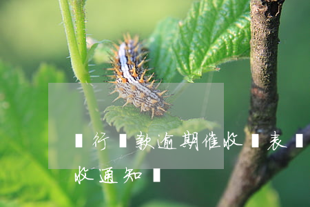 銀行貸款逾期催收報表(債務(wù)逾期催收通知書)
