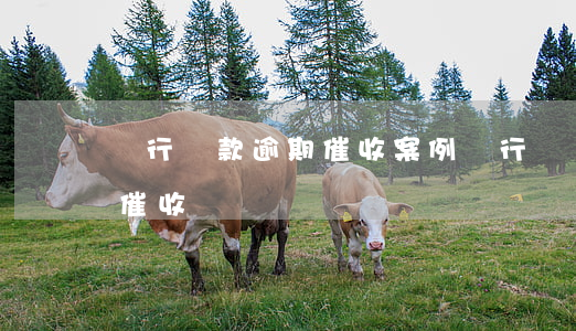 銀行貸款逾期催收案例(銀行違規(guī)催收)