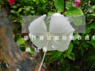銀行貸款逾期催收通知單(房貸逾期收到催款通知書)