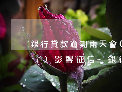 銀行貸款逾期兩天會(huì)不會(huì)影響征信-銀行貸款逾期兩天會(huì)不會(huì)影響征信記錄