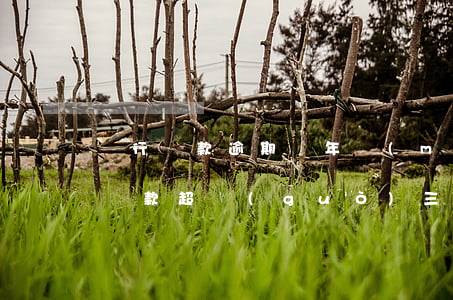 銀行貸款逾期兩年沒(méi)有起訴(銀行貸款超過(guò)三年未起訴)