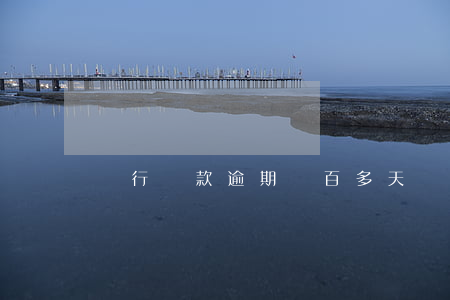 銀行貸款逾期兩百多天(銀行貸款逾期2天)