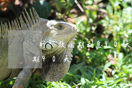 銀行貸款逾期利息90天(貸款本金或利息逾期90天)
