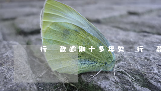 銀行貸款逾期十多年(欠銀行貸款逾期一年了)