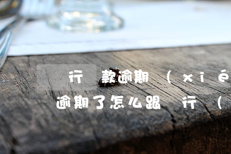 銀行貸款逾期協(xié)商還本金(信用卡逾期了怎么跟銀行協(xié)商還本金)