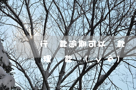 銀行貸款逾期可以貸款嗎(有逾期可以在銀行辦理貸款業(yè)務嗎)