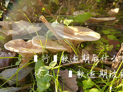 銀行貸款逾期后什么時間起訴擔(dān)保人-貸款逾期被起訴后擔(dān)保人承擔(dān)什么責(zé)任