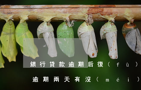 銀行貸款逾期后復(fù)息(銀行貸款利息逾期兩天有沒(méi)有事)