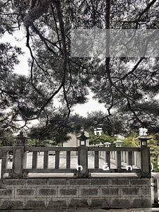 銀行貸款逾期后轉(zhuǎn)房產(chǎn)證(銀行貸款轉(zhuǎn)逾期是什么意思)