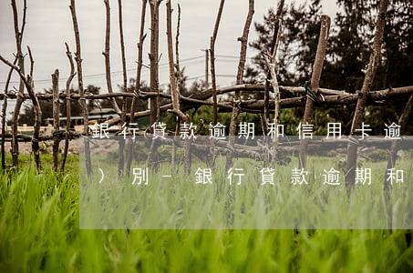 銀行貸款逾期和信用卡逾期有什么區(qū)別-銀行貸款逾期和信用卡逾期有什么區(qū)別嗎