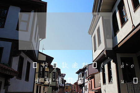 銀行貸款逾期報(bào)告格式(銀行貸款逾期情況說(shuō)明范文)