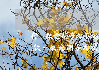 銀行貸款逾期多久不起訴會(huì)(銀行貸款一般逾期多久被起訴)