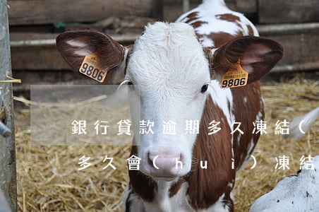 銀行貸款逾期多久凍結(jié)(貸款逾期多久會(huì)凍結(jié)銀行卡)