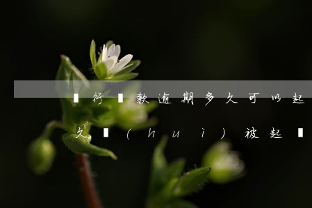 銀行貸款逾期多久可以起訴 逾期銀行貸款多久會(huì)被起訴