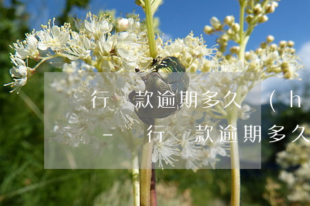 銀行貸款逾期多久會(huì)接到催款電話-銀行貸款逾期多久會(huì)接到催款電話呢