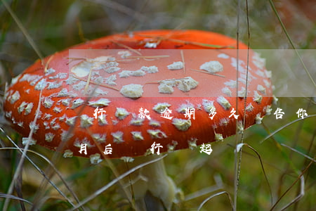銀行貸款逾期多久會告你(銀行貸款逾期幾個月后銀行會起訴?)