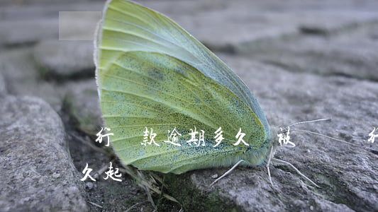 銀行貸款逾期多久會被訴訟(銀行貸款逾期多久起訴)