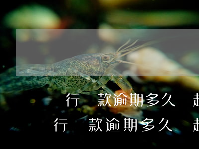 銀行貸款逾期多久會起訴我,沒錢怎么辦-銀行貸款逾期多久會起訴我,沒錢怎么辦