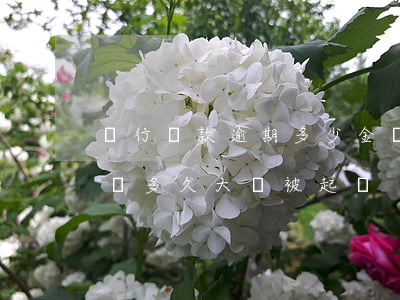 銀行貸款逾期多少金額會被起訴（貸款逾期金額多久大會被起訴）