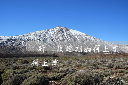 銀行貸款逾期如何上岸還款（銀行貸款逾期如何上岸）