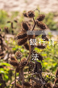 銀行貸款逾期如何防范(銀行逾期怎么處理方法)