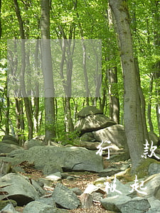 銀行貸款逾期就會馬上起訴嗎(銀行貸款逾期會被起訴嗎)