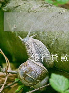 銀行貸款逾期幾天罰款(銀行貸款逾期十幾天)